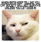 1751516007408333