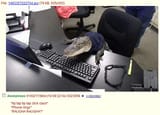 1484675089218