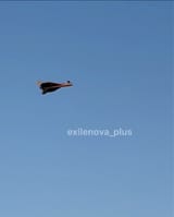 I want to believe
