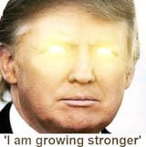 1439328405916