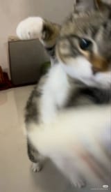 1000003890