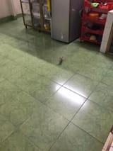 IMG_20250601_041131_486