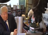 Donald-trump-eagle-673996564