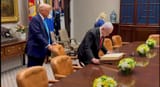 kike puppet trump serves his master