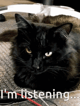 cat-listening
