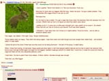 RabbitProblem
