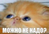 D_0Y5Wjo4w_vPz-nh-u0gOwksPE-960