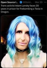 insane trans freak Tesla