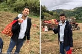 novak-djokovic-harvested-potatoes-with-injured-shoulder