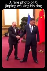 a-rare-photo-of-xi-jinping-walking-his-dog-v0-7l7cdb0vh6vb1 (1)