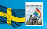 swedish army ad 2 - a flag worth defending