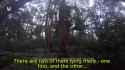 Operators from one of the Special Operations Forces units of the Ukrainian Armed Forces carried out a successful raid on an enemy position 03-07-2025 P1_thumb.jpg