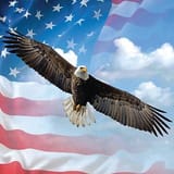 raf,360x360,075,t,fafafa_ca443f4786