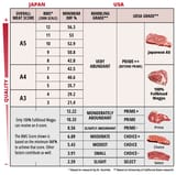 wstory_grading_chart_42084d50-6647-44ca-be16-19f8bc50ed19_480x480