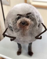 GqnL1RLW8AI7JGs