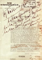 Heydrich-Endlosung