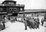 01_Buchenwald_0445