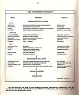 subversion demoralization false flag