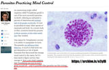 toxoplasmosis-parasite-gene