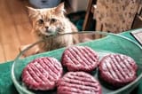 KOTWANTSBURGERS05