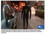 gimp