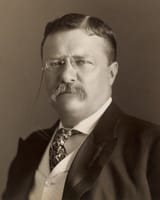 Theodore_Roosevelt_by_the_Pach_Bros_(4x5_cropped)