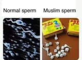 1731884898851979