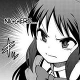 niggers