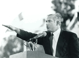 Bibi