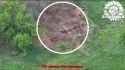 Noelreports-1941204770804597050-01_thumb.jpg