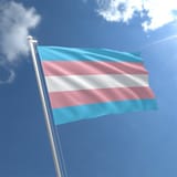 Trans-Flag-Flying