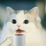 NIGGERKOTCOVFEFE