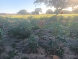 IMG_20250704_161016663