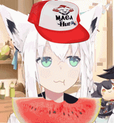 1747205787046257