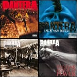 pantera