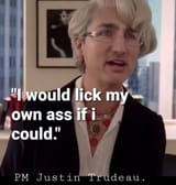 turdeau