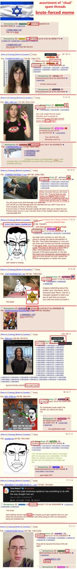 memeflag chud spam