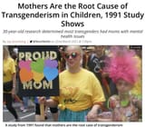 mothers-cause-transgenderism-mental-issues