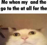 1748606552809583