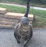 1711845010397152