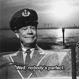 nobodys-perfect-not-perfect
