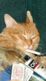 f4f7af6