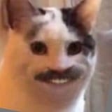 38636621_1904700289552757_6265711588070653952_n