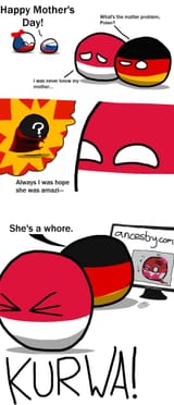 polishfem
