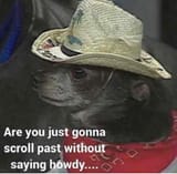 howdy