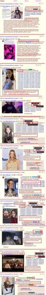 trans questions
