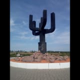 jewish cactus