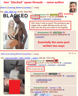 blacked penis white vagina this is art