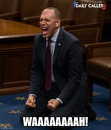 9zenzr