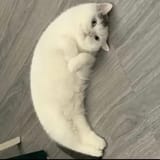 1749711771910065